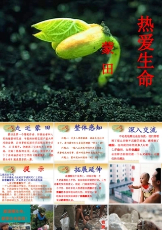 热爱生命 (3)