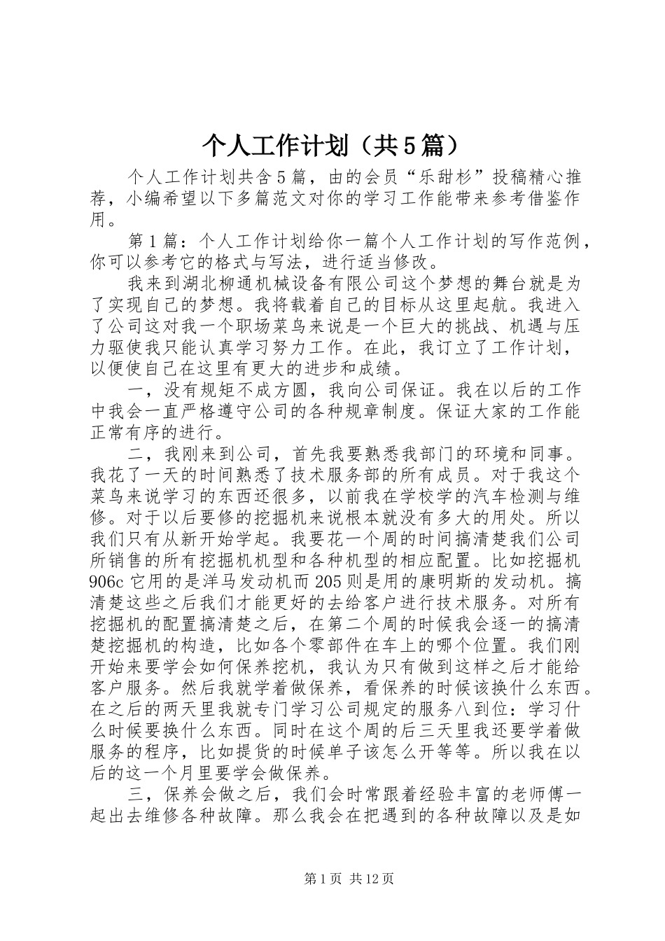 个人工作计划（共5篇）_第1页