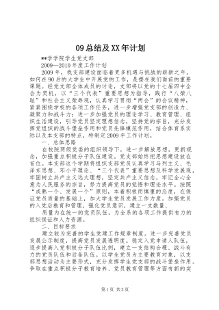 09总结及XX年计划 