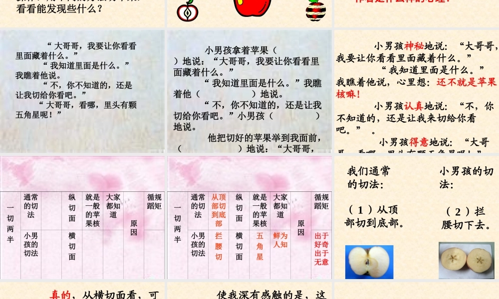 《苹果里的五角星》课件 (2)