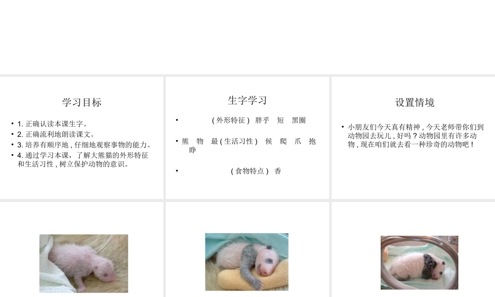 （教科版）一年级语文下册《大熊猫》教学课件3