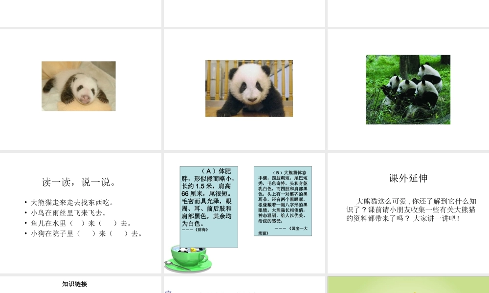 （教科版）一年级语文下册《大熊猫》教学课件3