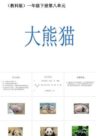 （教科版）一年级语文下册《大熊猫》教学课件3