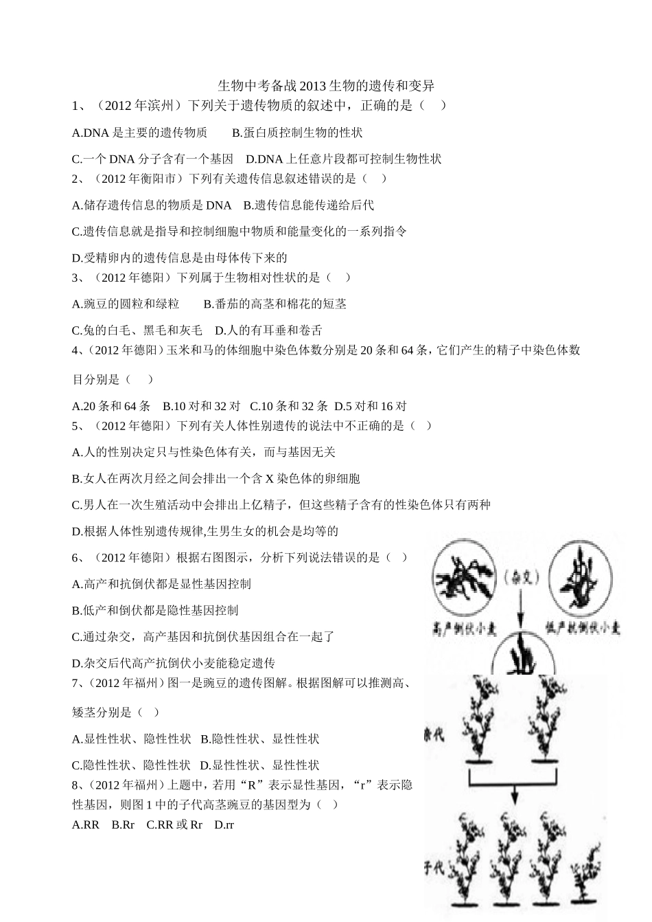 生物中考备战2013生物的遗传和变异_第1页