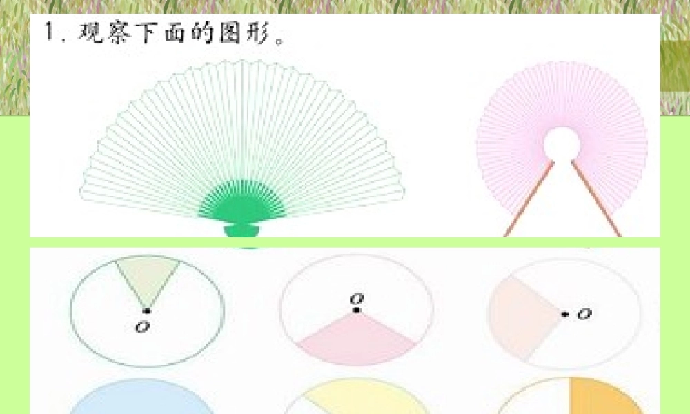 数学六年级上册《扇形的面积》PPT课件