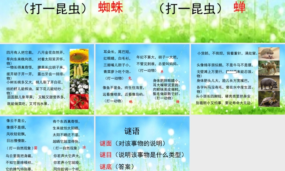 口语交际5谜语