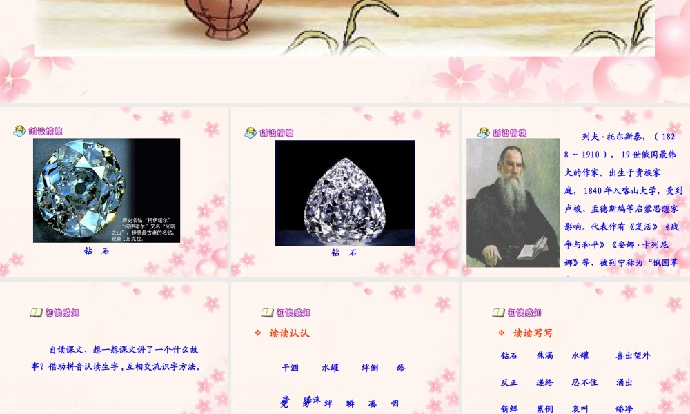 《七颗钻石》教学课件2