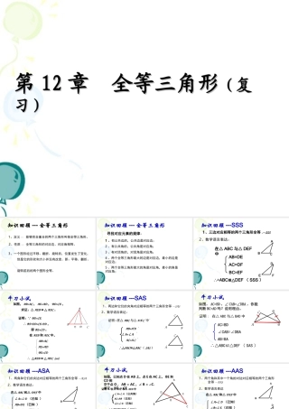 《全等三角形》复习课件1