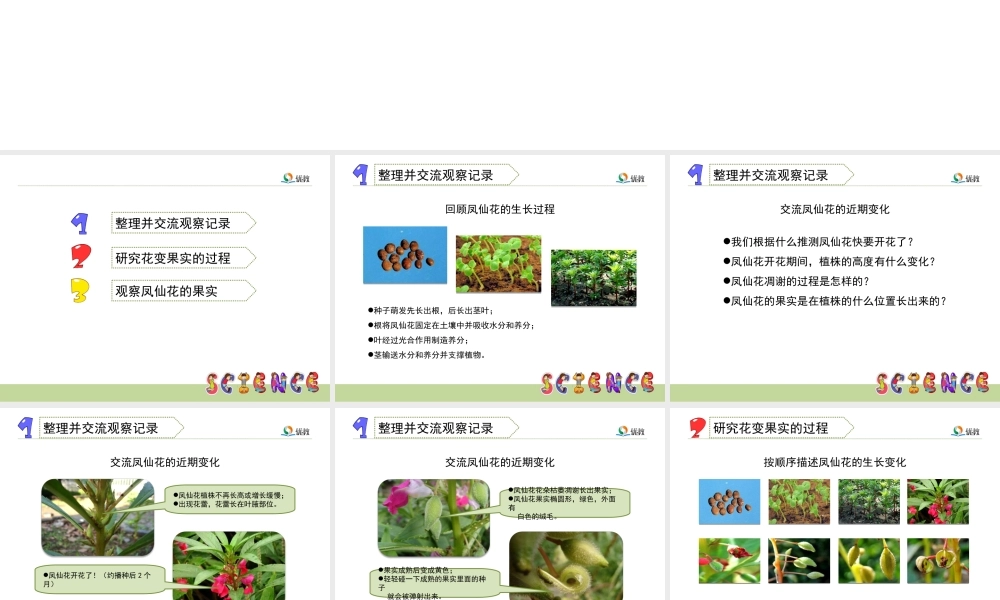 《开花了，结果了》教学课件