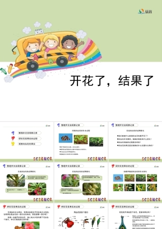 《开花了，结果了》教学课件