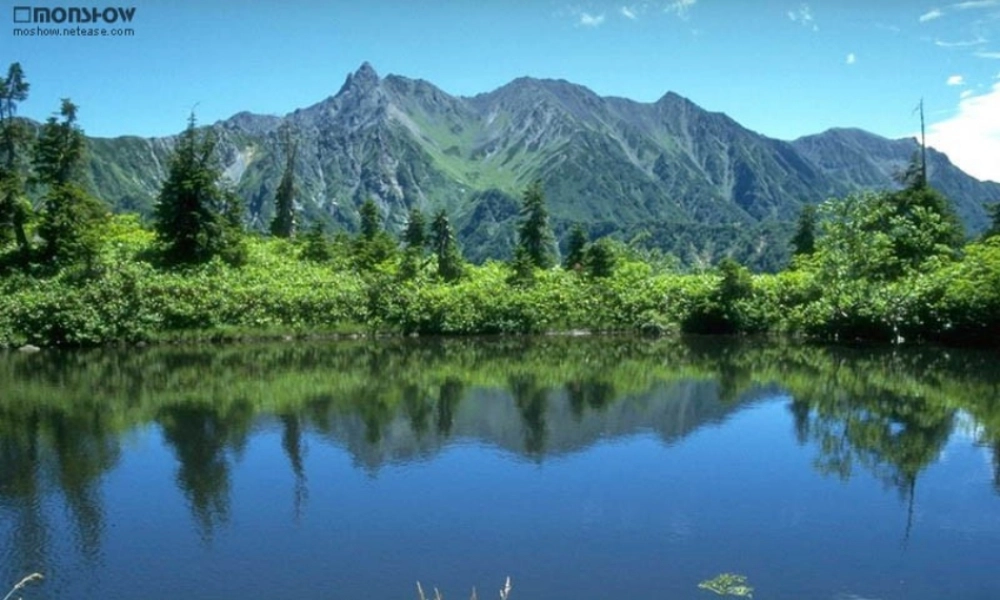 三月桃花水课件