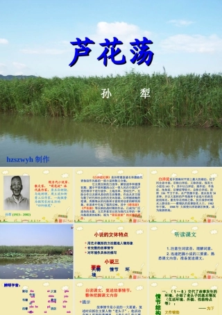 《芦花荡》教学课件