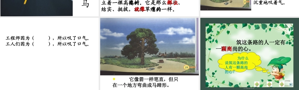 路旁的橡树课件 (2)