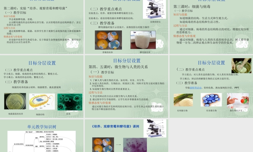 基于单元教学设计的目标分层设置（微生物）