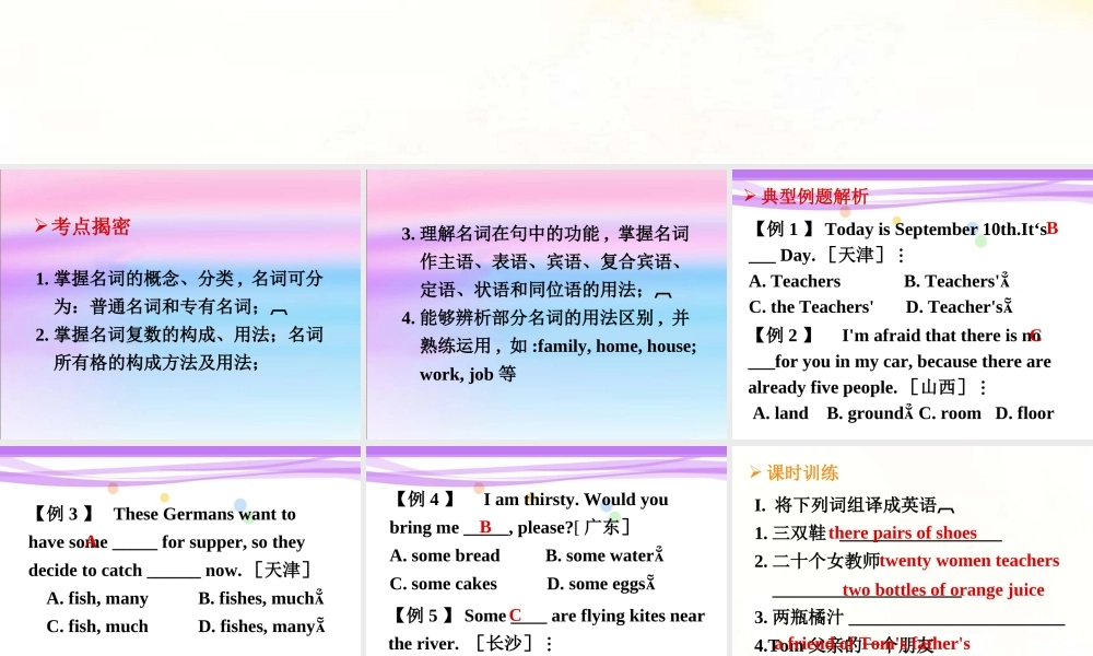 中考复习——名词课件2