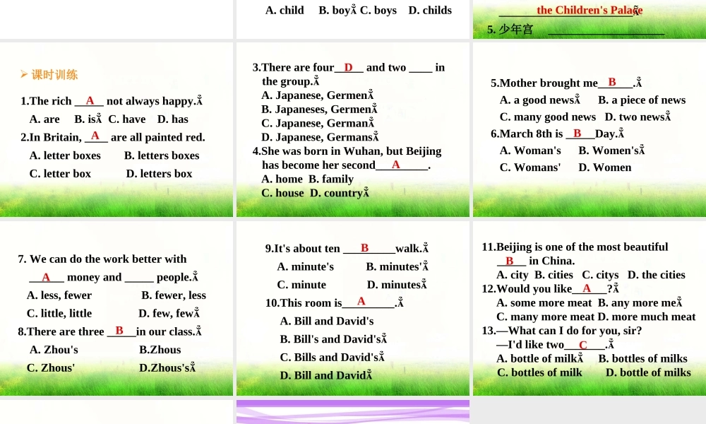 中考复习——名词课件2