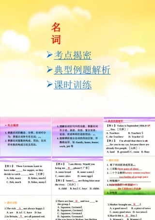 中考复习——名词课件2