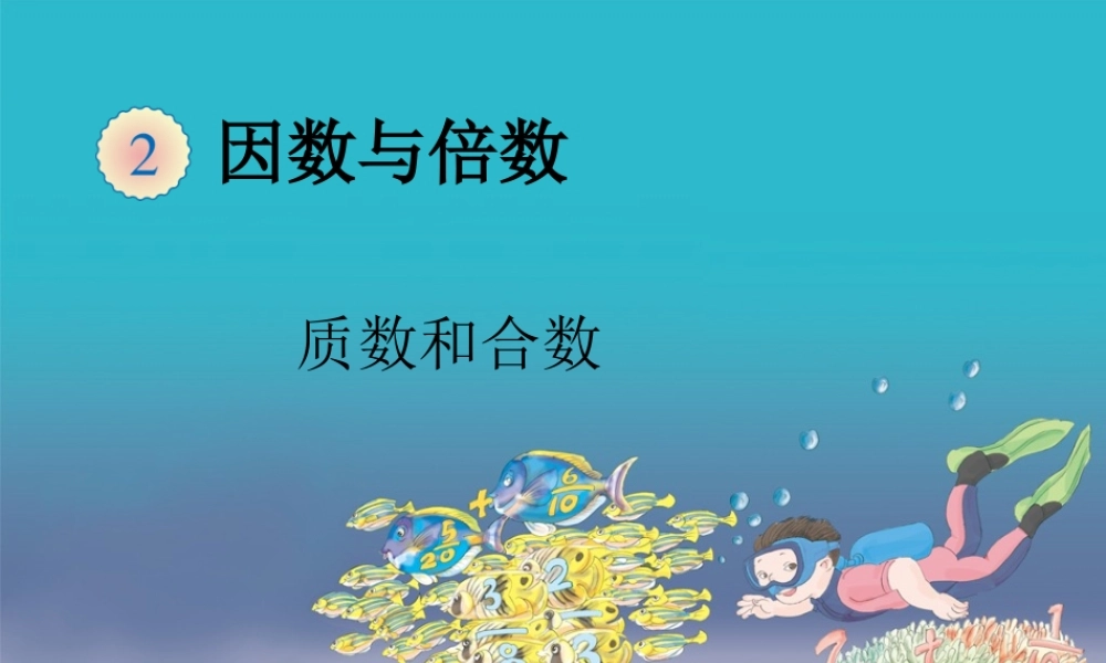 质数和合数 (4)