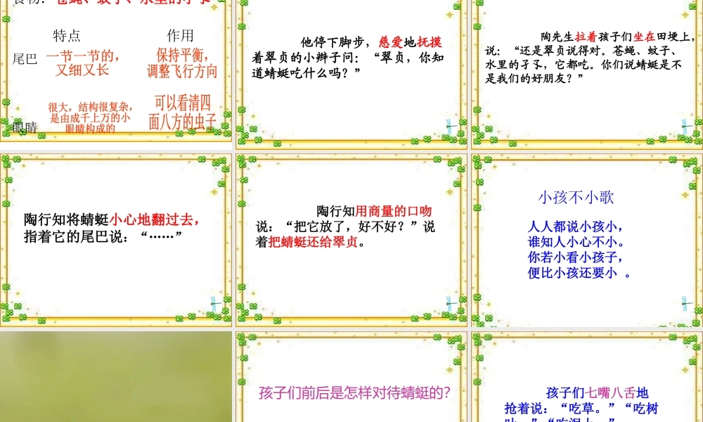 三年级下册《放飞蜻蜓》