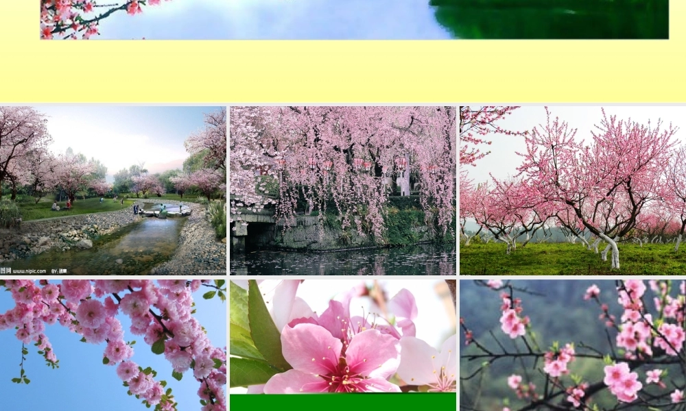 北师大版小学四下《三月桃花水》课件