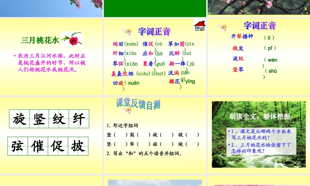 北师大版小学四下《三月桃花水》课件