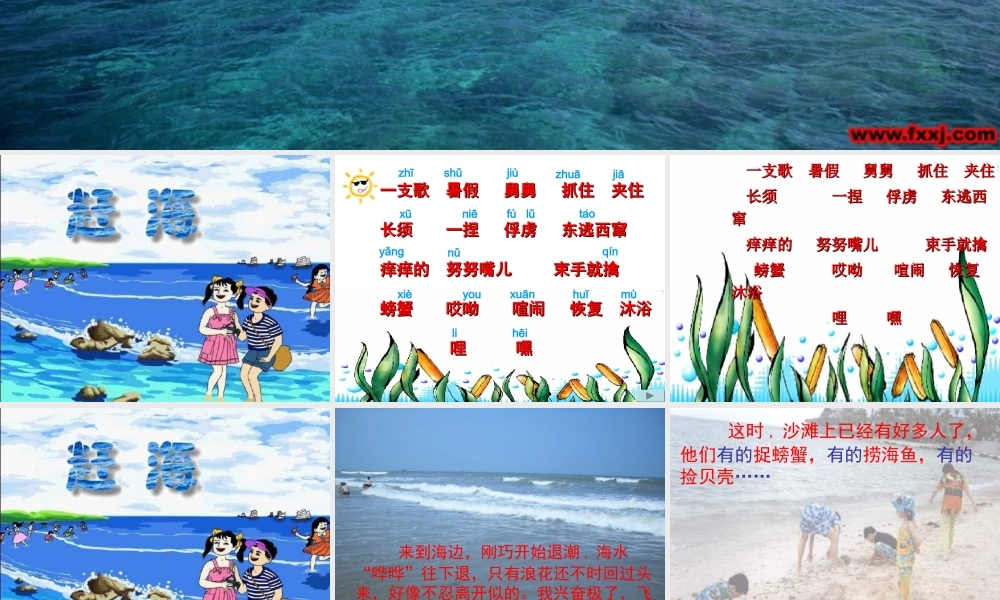 《赶海》课件[1]