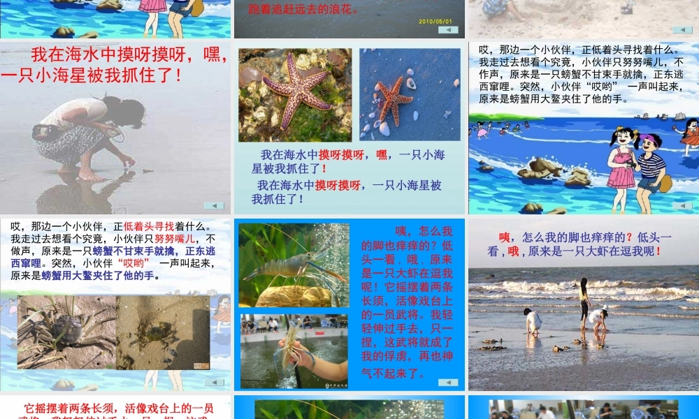 《赶海》课件[1]