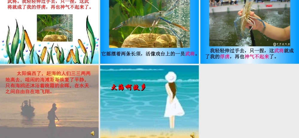 《赶海》课件[1]