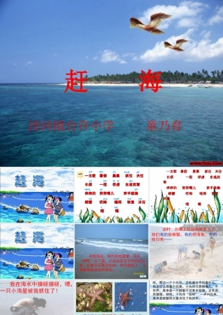 《赶海》课件[1]