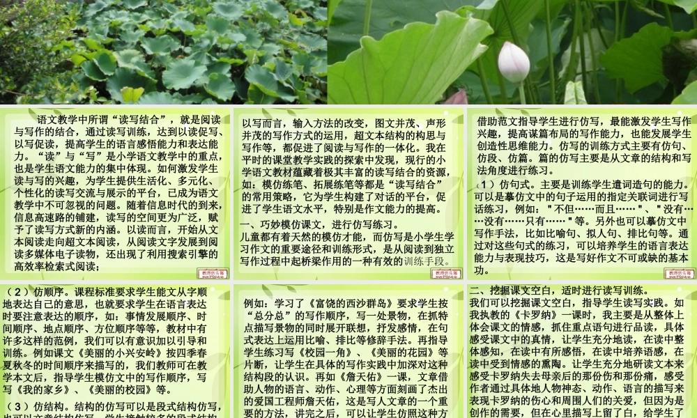 浅谈语文教学中的读写结合