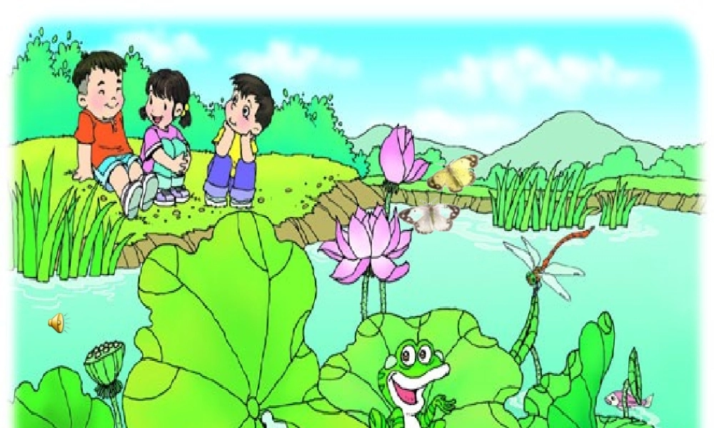 荷叶圆圆新课件