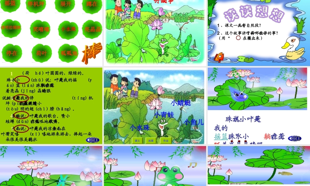 荷叶圆圆新课件