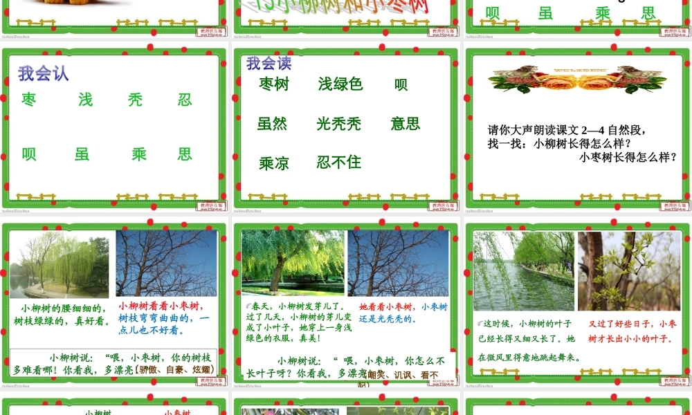 人教版小学语文二年级上册15《小柳树和小枣树》课件