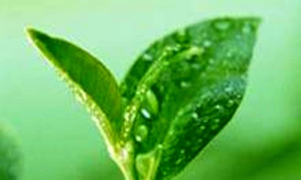 节做功了吗课件