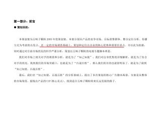 某公司企业全盘策划方案