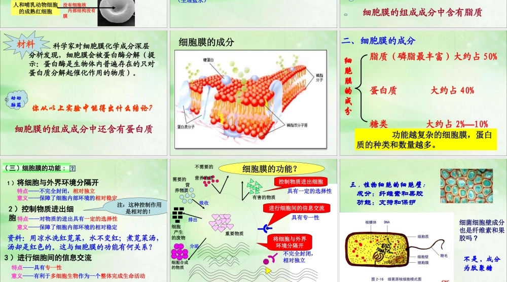 细胞膜-系统的边界