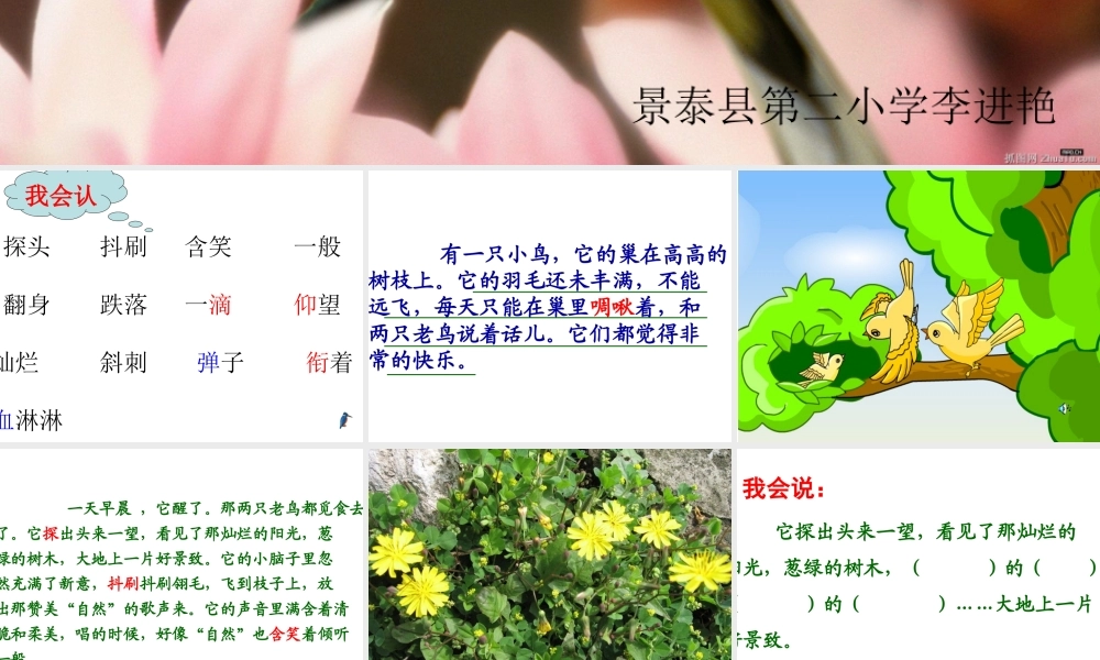 《一只小鸟》课件