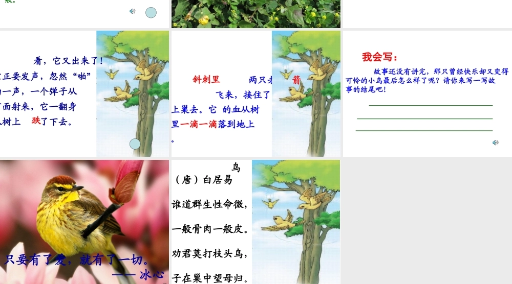 《一只小鸟》课件