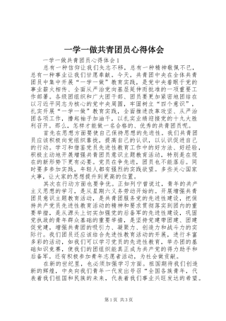 一学一做共青团员心得体会