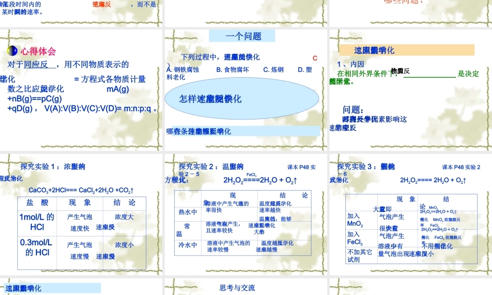 新人教化学反应的速率和限度