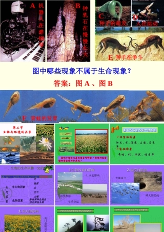 生物：第2章第1节_生物与环境的关系精品课件(人教版七年级上)