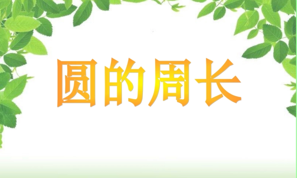 2014新人教版六数上——圆的周长