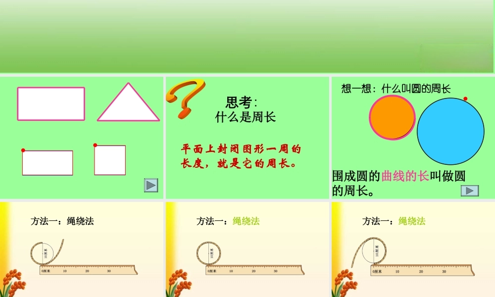 2014新人教版六数上——圆的周长