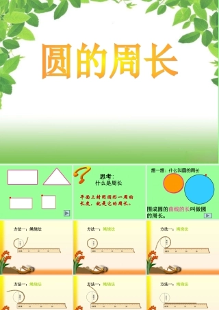 2014新人教版六数上——圆的周长
