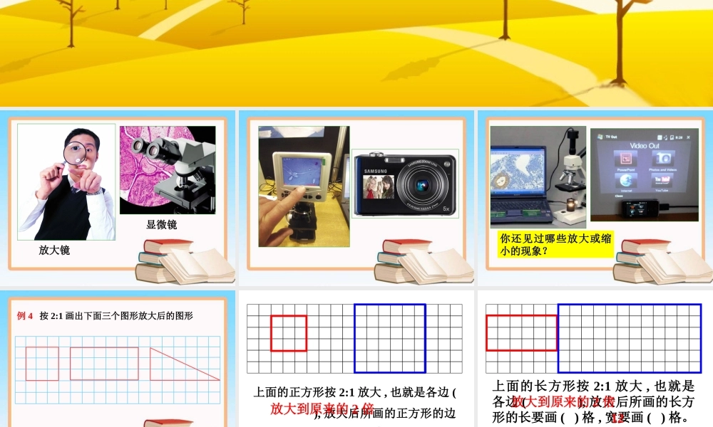 《图形的放大与缩小》教学课件