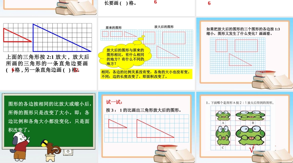 《图形的放大与缩小》教学课件