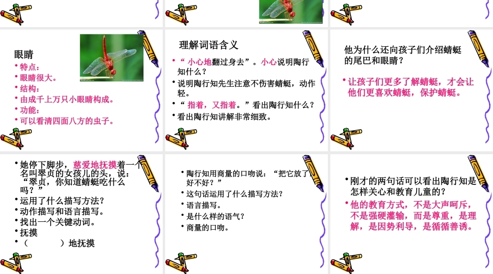 放飞蜻蜓课件 (2)