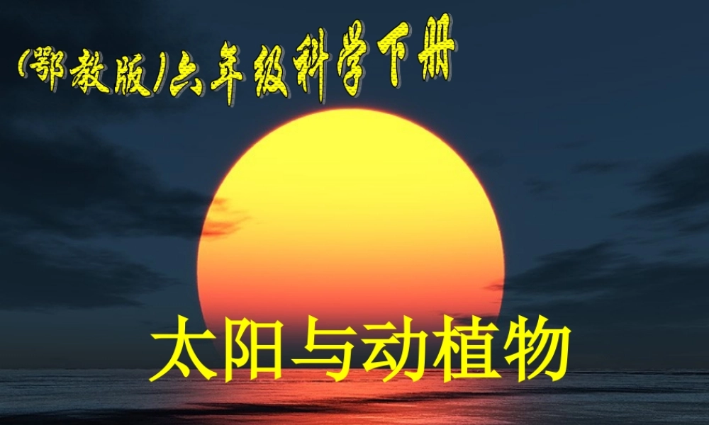 太阳与动植物