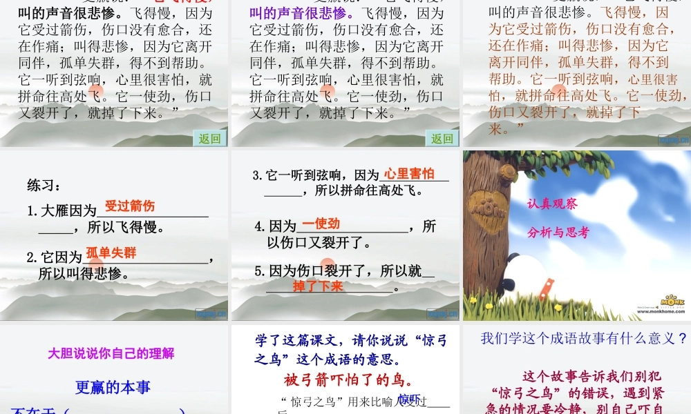 惊弓之鸟课件 (2)
