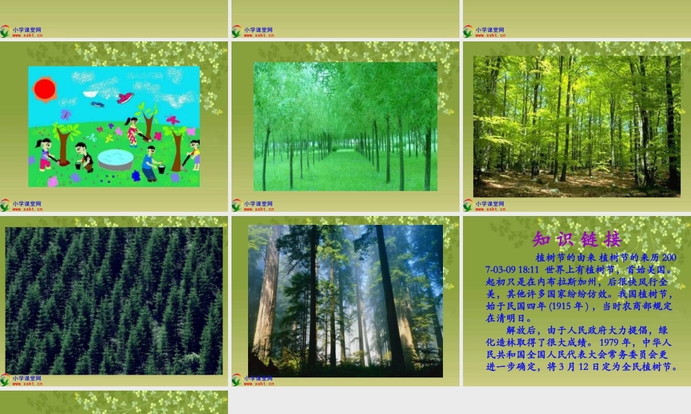 一年级语文下册《让我们去植树》PPT课件（教科版）
